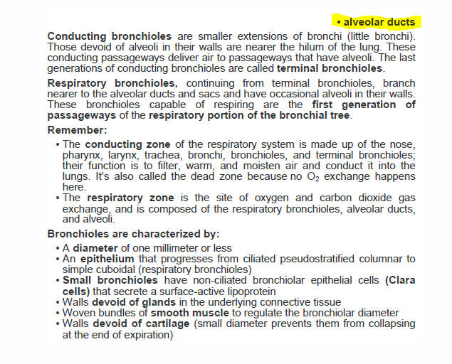 Dental Decks Part I Volume 13 Dental Decks